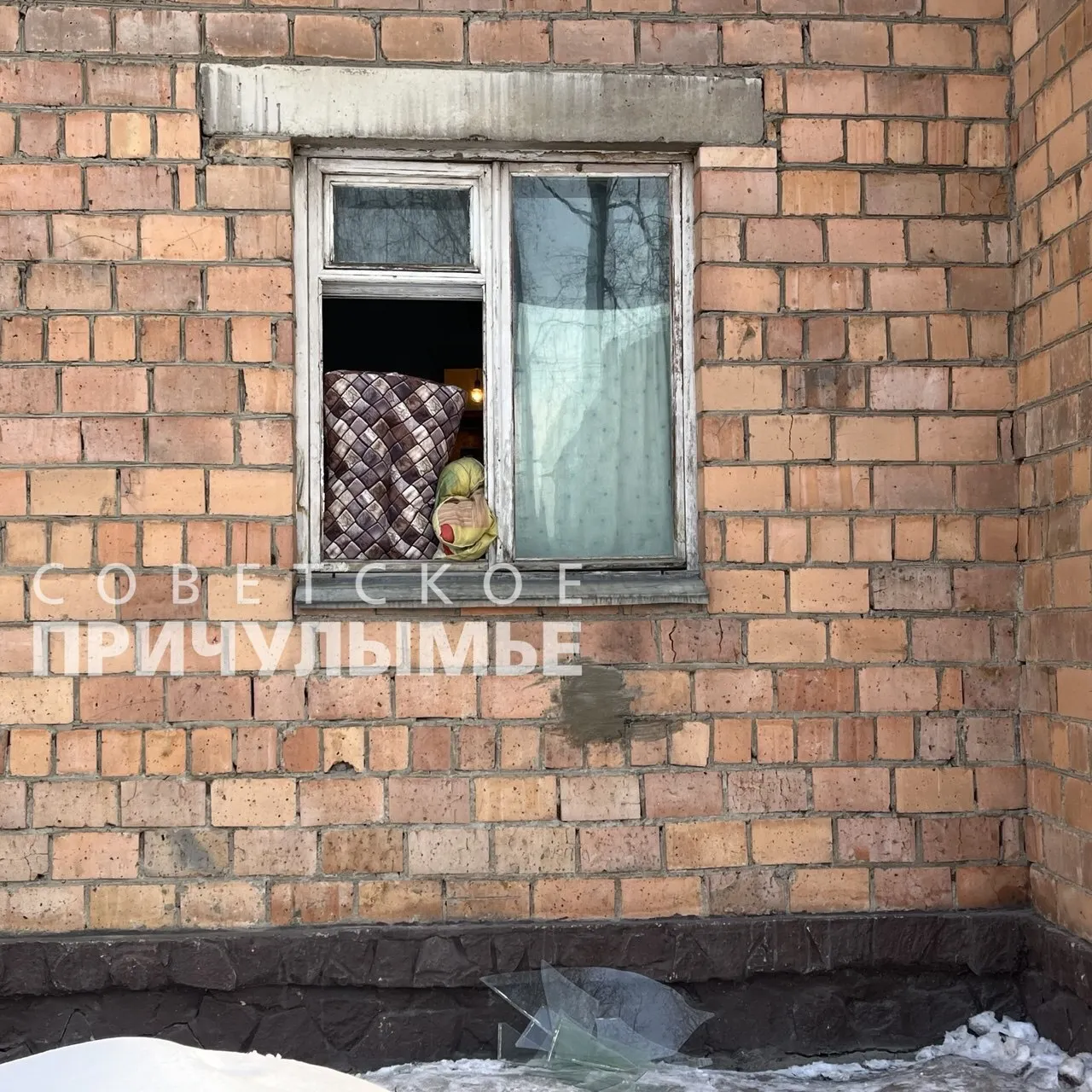 В Красноярском крае косуля выбила окно и забралась в квартиру пенсионера