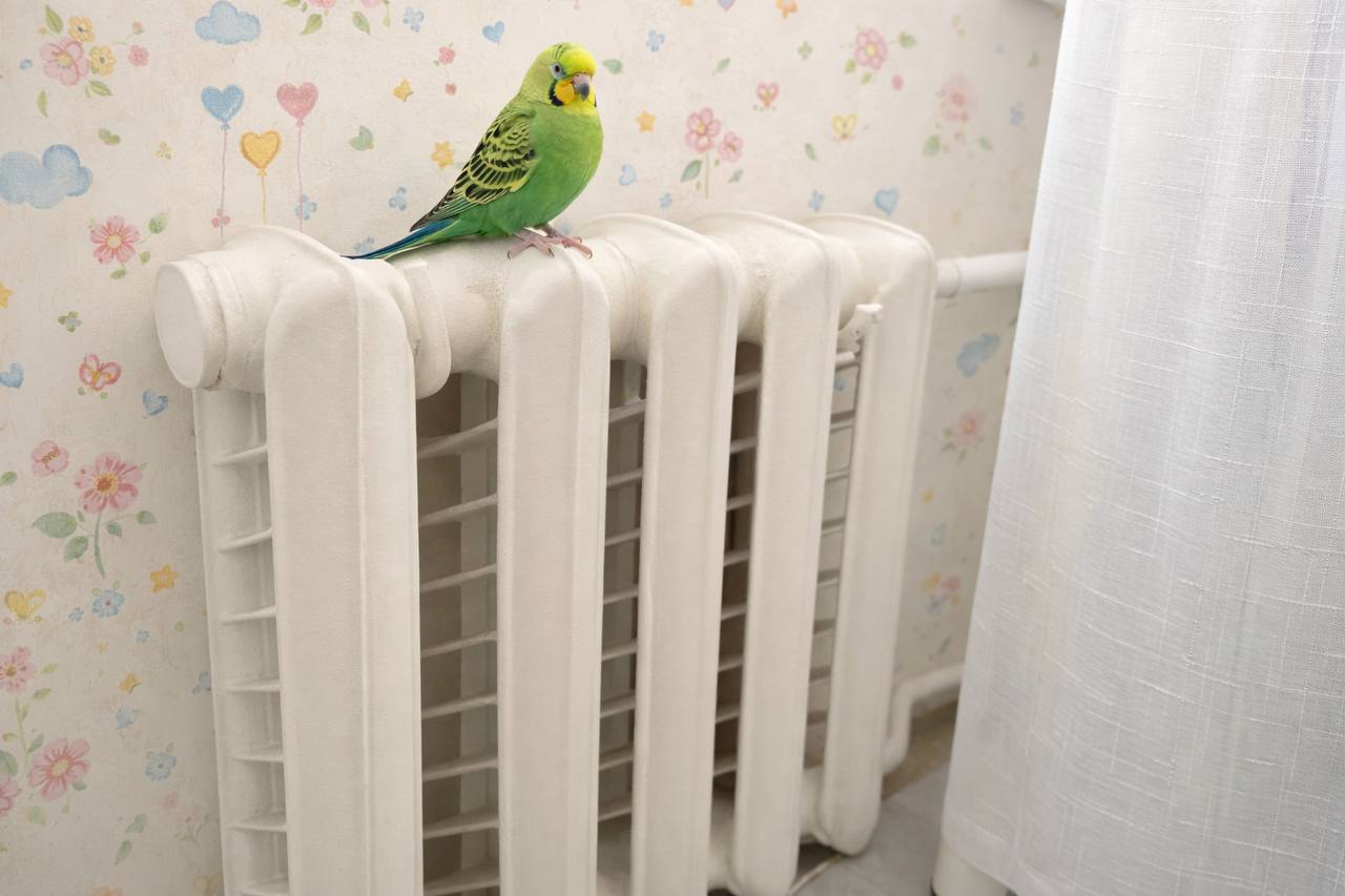 В Астрахани перенесли испытания теплосетей на 6 апреля