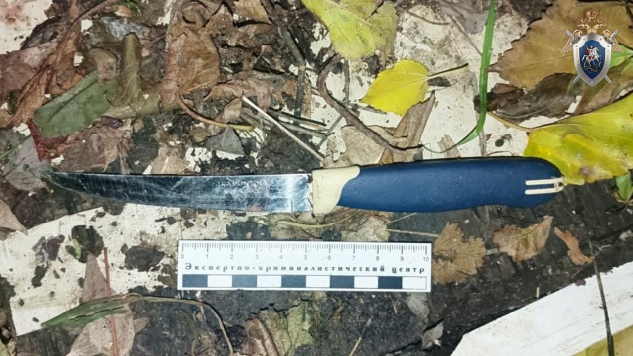 Астраханка проведет в тюрьме 8,5 лет за убийство мужа