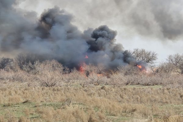 В большей части Астраханской области начался пожароопасный сезон, введены жесткие запреты | АРБУЗ