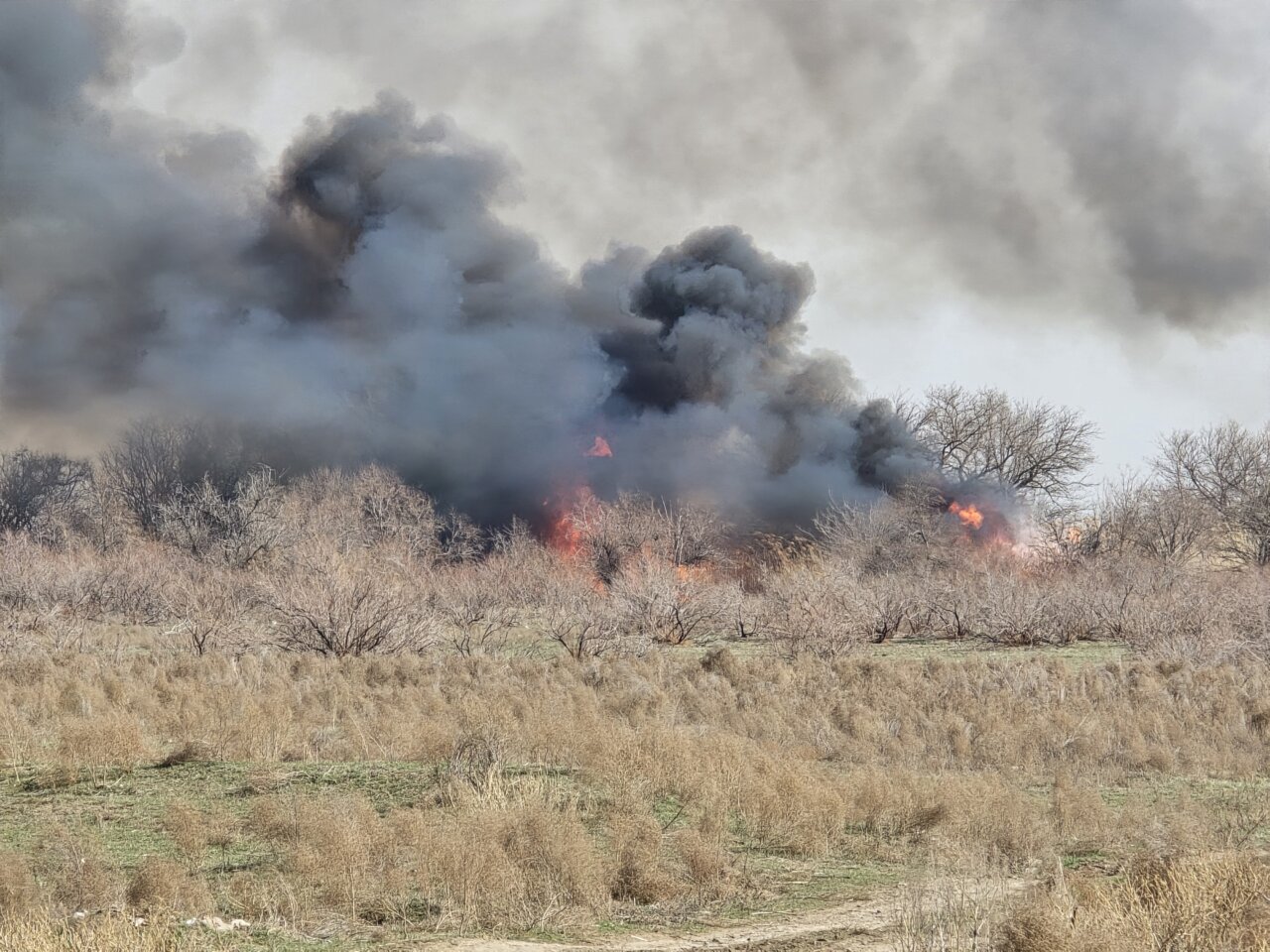 В большей части Астраханской области начался пожароопасный сезон, введены жесткие запреты | АРБУЗ