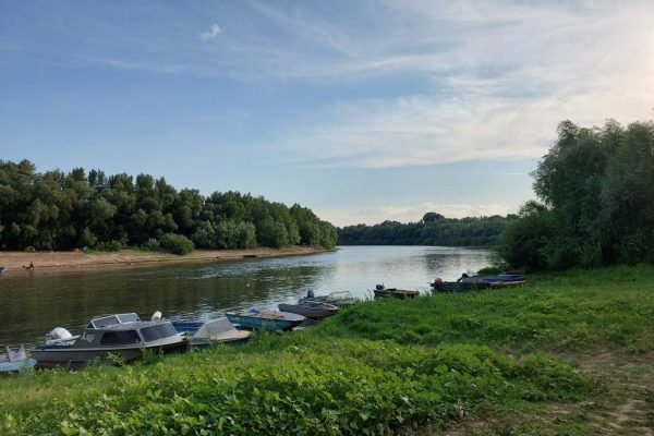 В Астраханской области предлагают на участках вдоль Ахтубы создать палаточные кемпинги | АРБУЗ