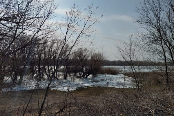 В Астраханской области обещают заморозки | АРБУЗ