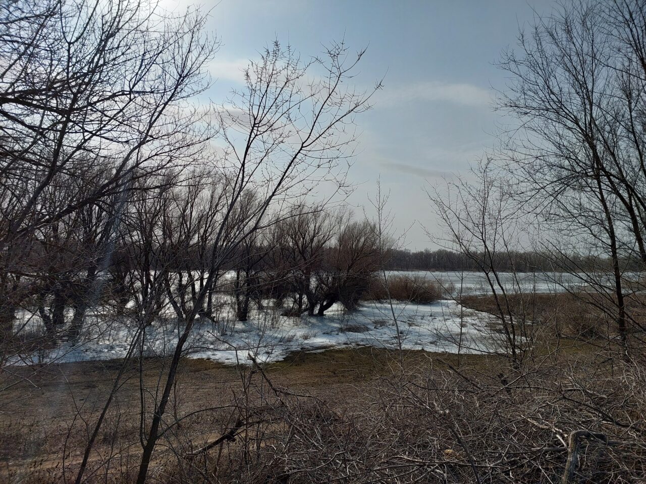 В Астраханской области обещают заморозки | АРБУЗ