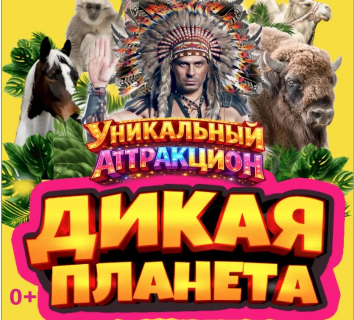 Премьера уникальной программы "Дикая планета" в Астраханском государственном цирке | АРБУЗ