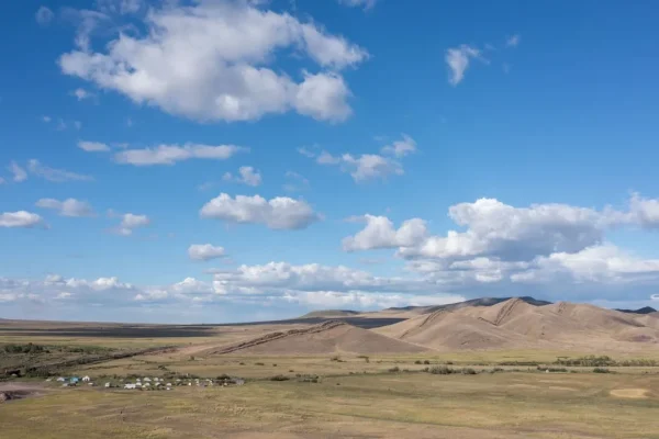 Каменные плиты с изображениями сцен охоты нашли в древних погребениях Хакасии