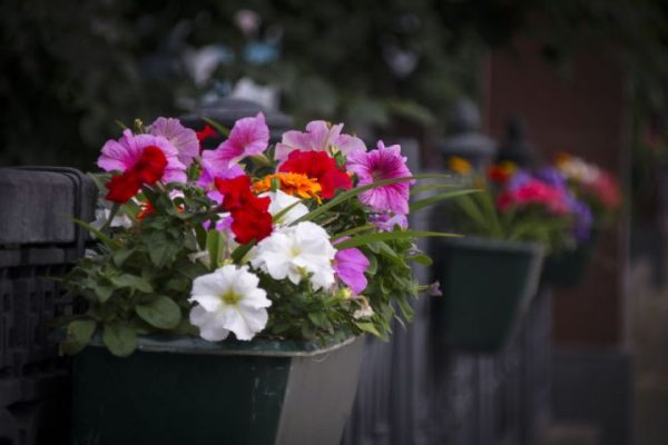 Венера в марте: ваш любовный прогноз на начало весны 