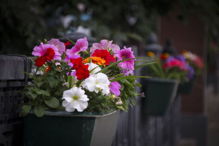 Венера в марте: ваш любовный прогноз на начало весны 