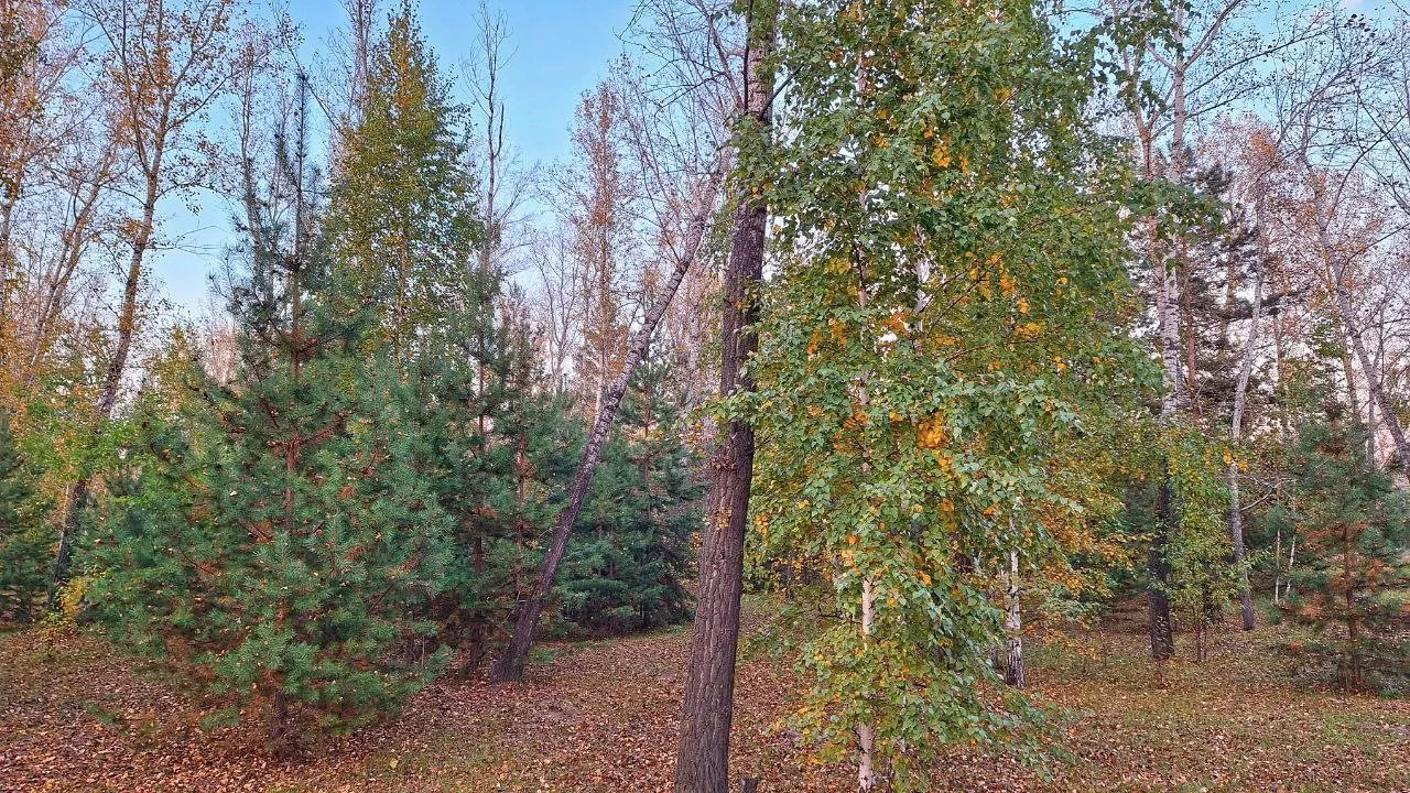 Приморье потратит почти 1,3 миллиарда на борьбу с природными пожарами в 2026 году