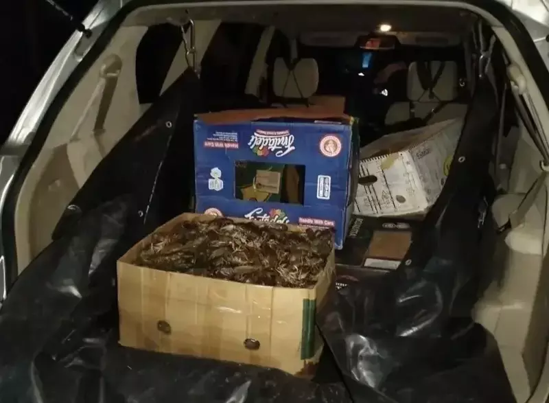 Астраханские полицейские спасли незаконно пойманных раков