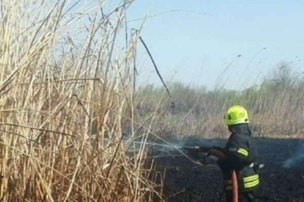 В Астраханской области выросло число ландшафтных пожаров