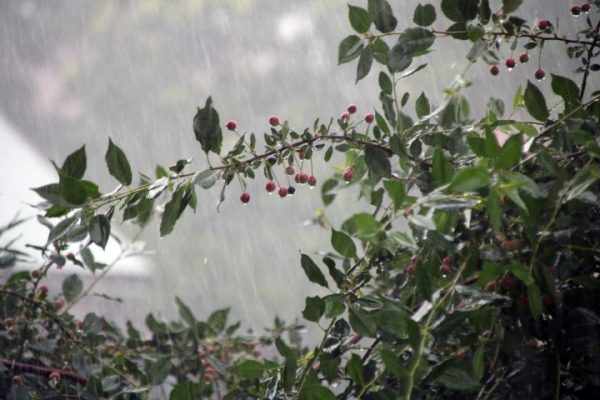 Женщина умерла на 24 минуты и рассказала, что было по ту сторону