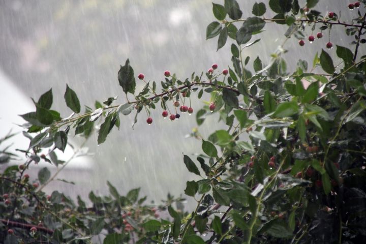 Женщина умерла на 24 минуты и рассказала, что было по ту сторону