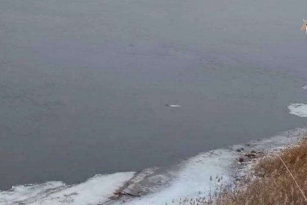 В Астраханской области погиб 7-летний мальчик: прогулка по льду закончилась трагедией - PRO Астрахань