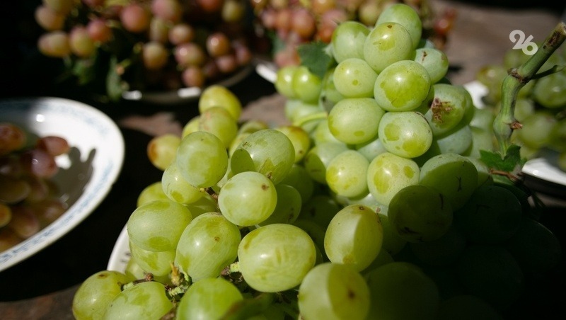 В Ставропольском крае активно развивают агротуризм