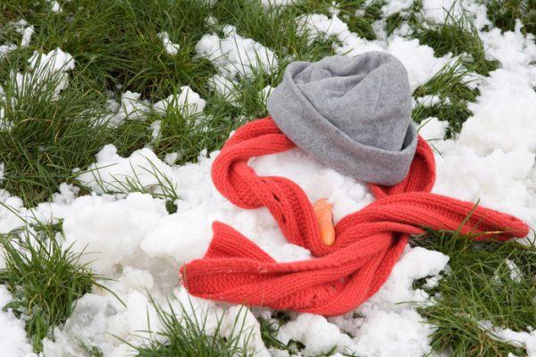 Синоптики пообещали потепление до +16 °С в Ростовской области