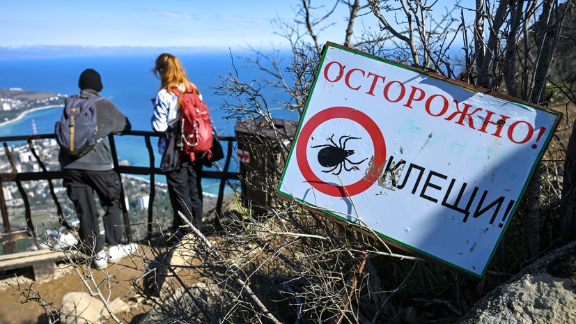 Роспотребнадзор: начало активности клещей ожидается в третьей декаде марта
