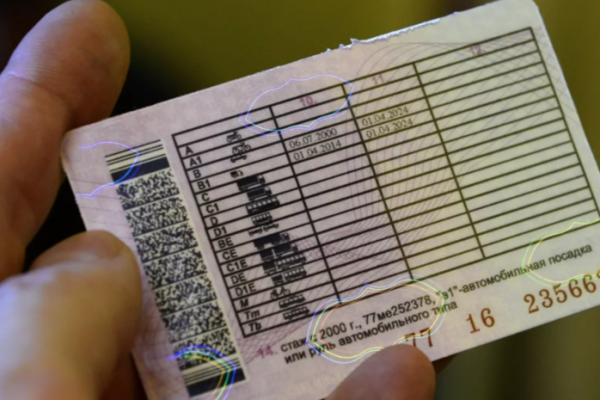 Россиян предупредили, чем опасна потеря водительского удостоверения