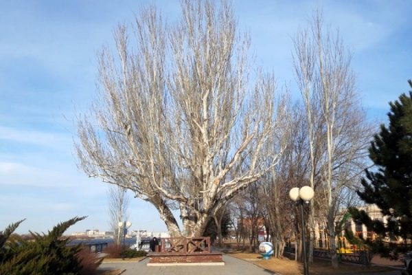 Какая погода ждёт астраханцев 2 марта