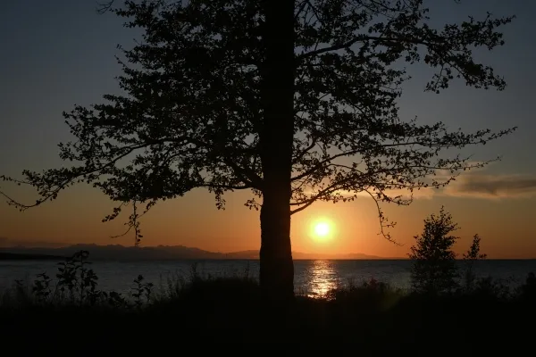 Закон о сплошных рубках на Байкале вступил в силу