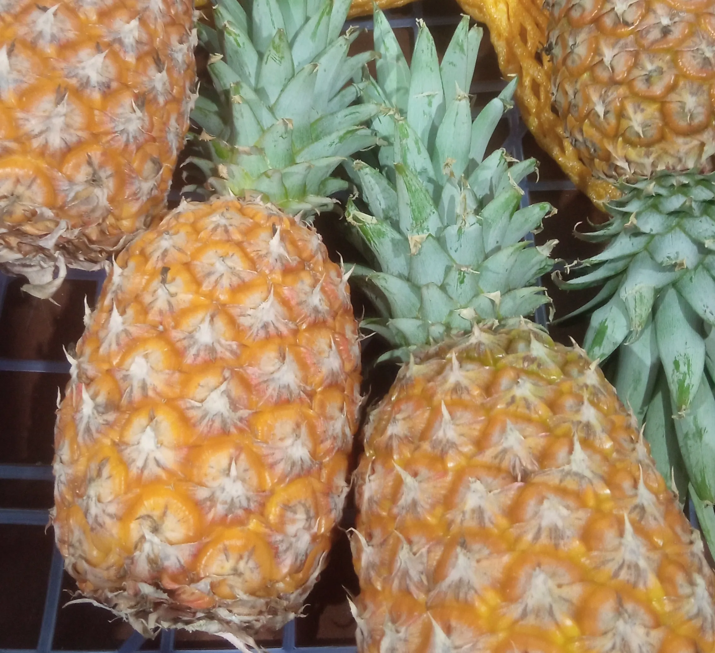 Красноярцам рассказали, как правильно выбрать ананас