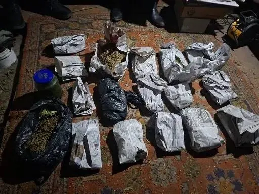 Почти полтора кило марихуаны изъяли полицейские в Минусинском округе Красноярского края