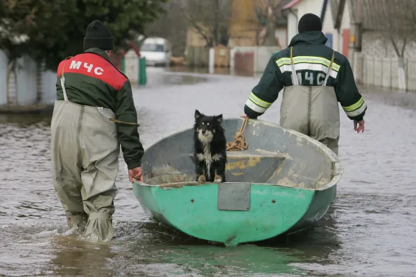 Рост страховых выплат из-за паводков прогнозируют России: он может составить 25-30%