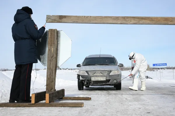 126 семей получили выплаты за изъятый скот при пастереллезе в Новосибирской области