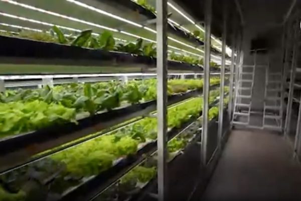 В 2025 году свыше 3800 астраханских бизнесменов получили господдержку