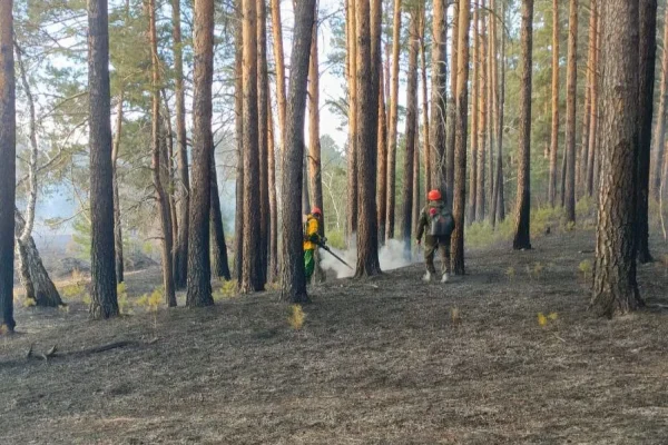 С 20 марта в семи округах Забайкалья начнется пожароопасный сезон