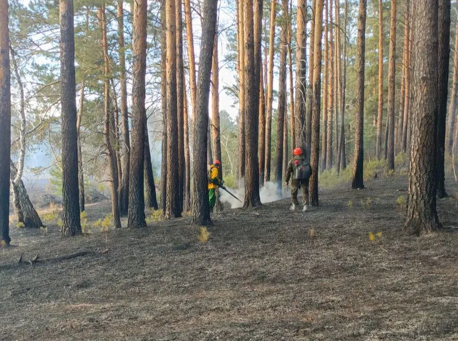 С 20 марта в семи округах Забайкалья начнется пожароопасный сезон
