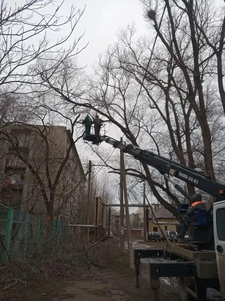 С начала года в Астрахани опилили более трехсот аварийных деревьев - PRO Астрахань