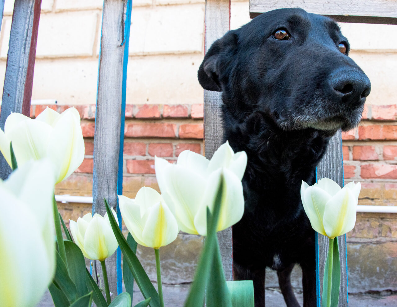 Погоду в Астрахани ждут серьезные изменения | АРБУЗ