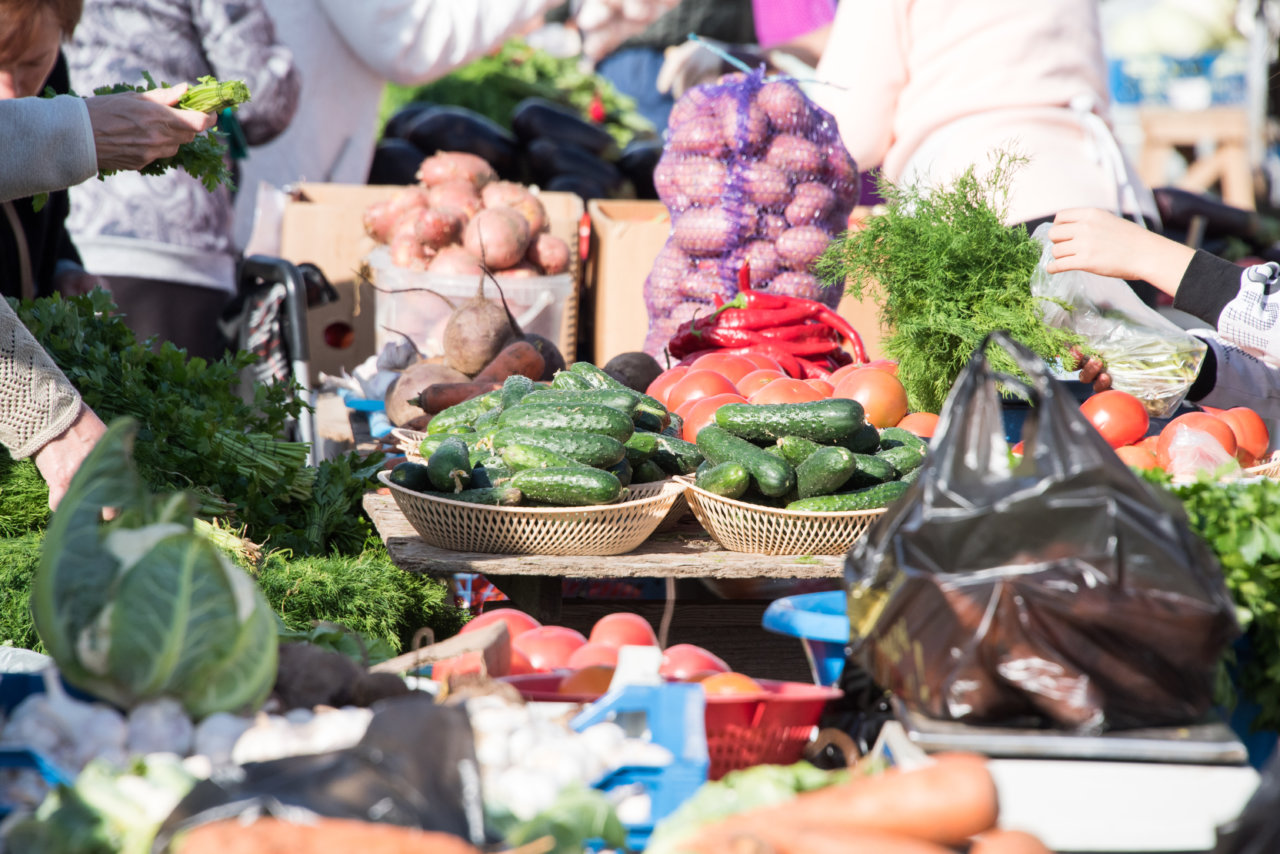 В Астрахани начали работать мини-ярмарки для дачников | АРБУЗ