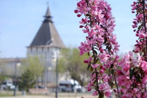 Какой март будет на Нижней Волге и в Астрахани
