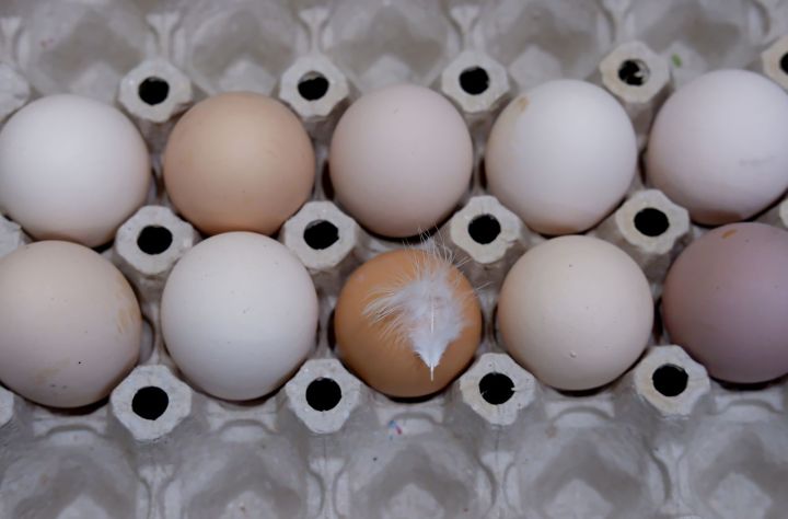 Когда подешевеют яйца