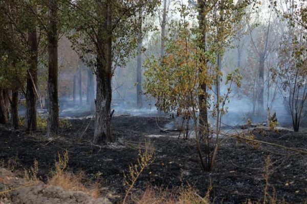 Жесткие запреты вступают в силу с 23 марта в Астраханской области 