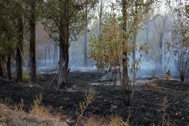 Жесткие запреты вступают в силу с 23 марта в Астраханской области 