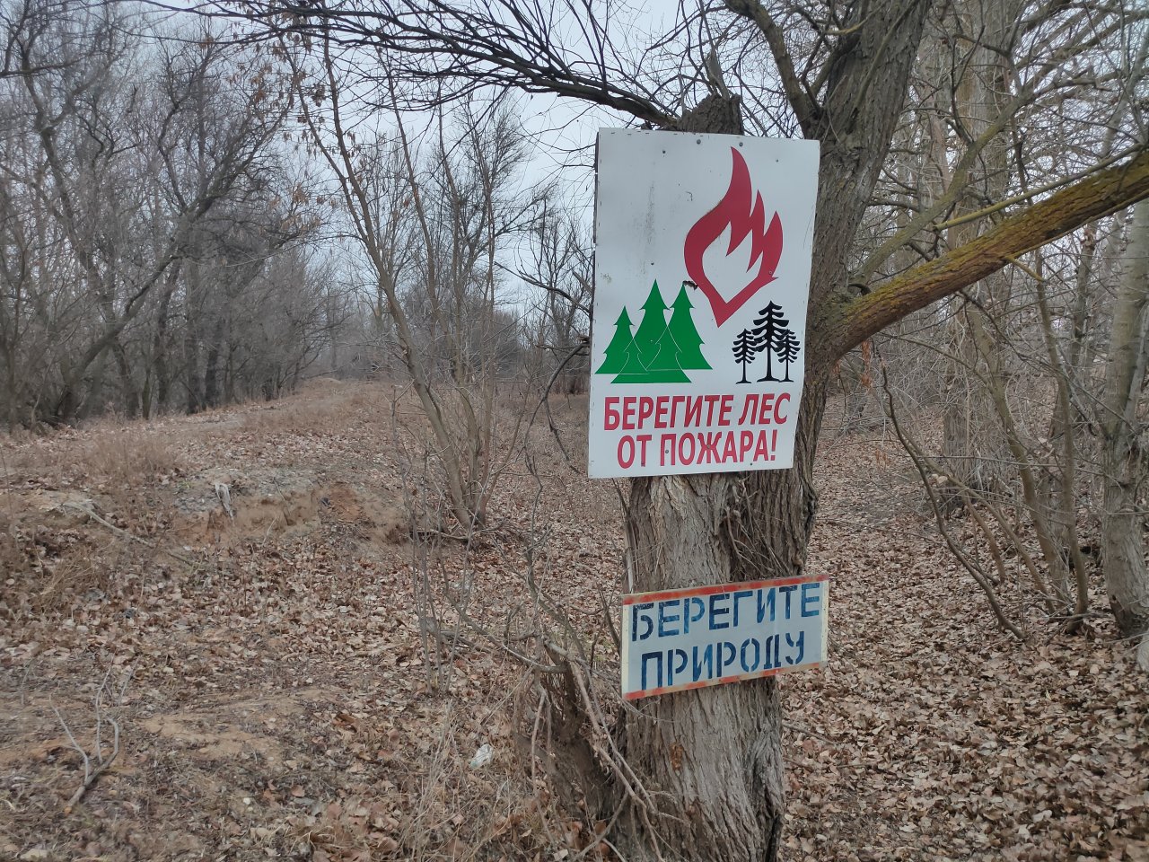 В Астраханской области начался пожароопасный сезон: действует ряд важных правил | АРБУЗ