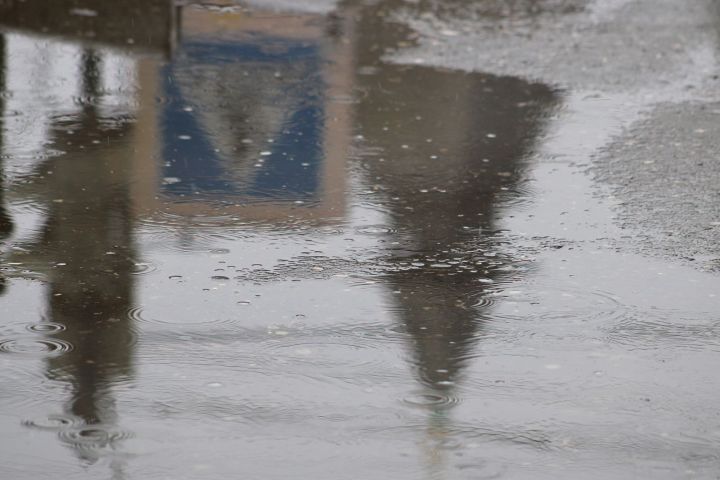 Дожди придут в Астраханскую область 