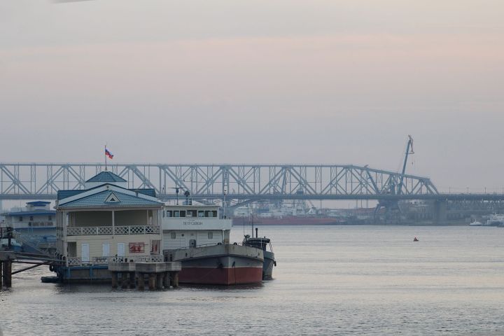 Старый мост уходит на ремонт, клещи-мутанты и другие резонансные новости 20 марта. 