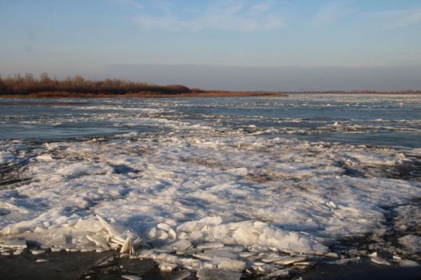 Завтра в северной половине будет ощутимо холоднее, чем в южной