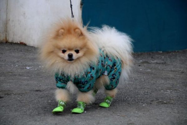 Куда сходить в Астрахани 1 марта. Большая афиша