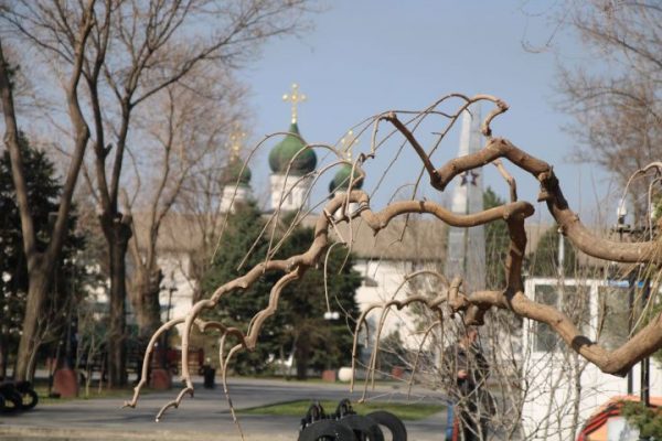 Мощное тепло и мощный ветер ждут астраханцев