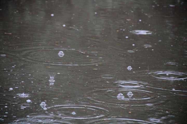 Ненастье ждет астраханцев на выходных 