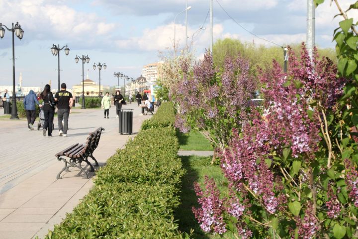 Простая фраза, которую нужно произнести перед выходом из дома для удачи и защиты 