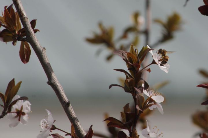 Какую погоду принесет северный ветер в Астрахань 