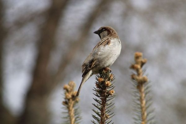 Потепление захватит регион, но не весь. Метеорологическая обстановка в районах Астраханской области на 2 марта