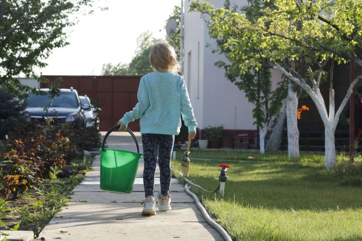 Эксперты рассказали, как спасти от вредителей и болезней свои растения