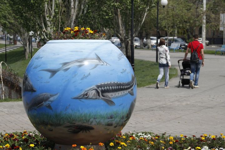 Колбаса с антибиотиком и другие резонансные новости 5 марта